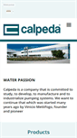 Mobile Screenshot of calpeda-asiapac.com